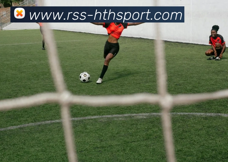 华体会服务体系